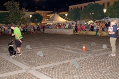 8 AGOSTO 2017 (12)